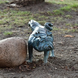 2026-01-08 Brandenburg an der Havel/Waldmöpse/DSC_2389.JPG